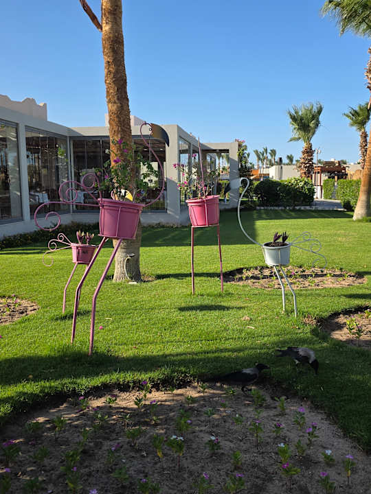 Außenansicht Xanadu Makadi Bay