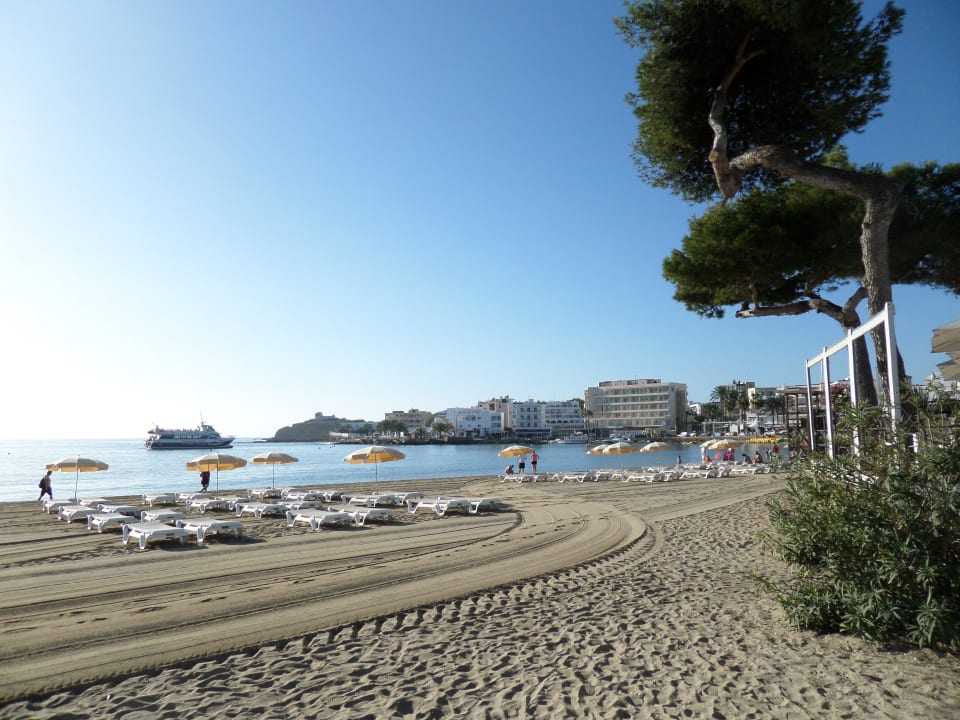 Früh nach Reinigung Moon Dreams Coral Beach