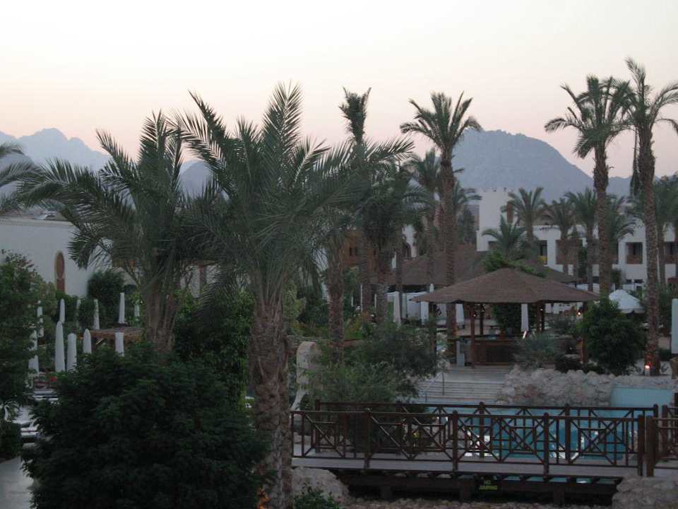 Ausblick vom Restaurant oben Ghazala Gardens