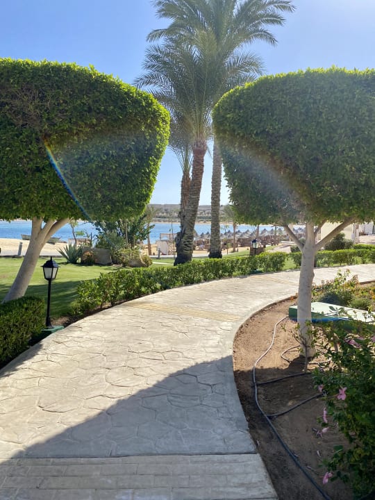 Außenansicht Steigenberger Coraya Beach - Adults only