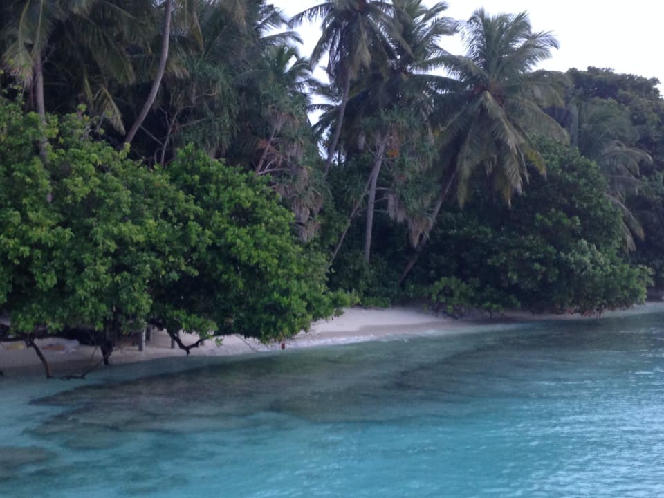 Morgenstimmung vom Steg aus Fihalhohi Maldives