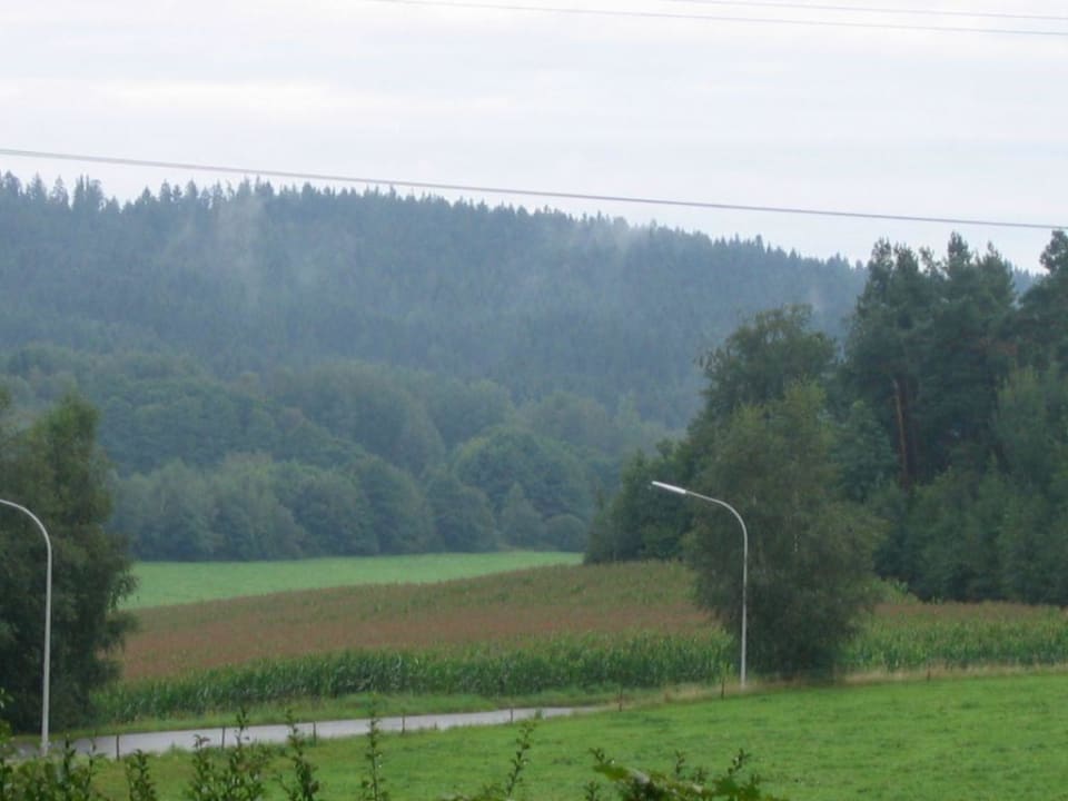 Aussicht Waldferiendorf Regen