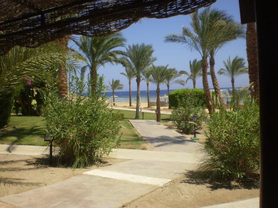 Von Beach-Bar aus gesehen Steigenberger Coraya Beach - Adults only