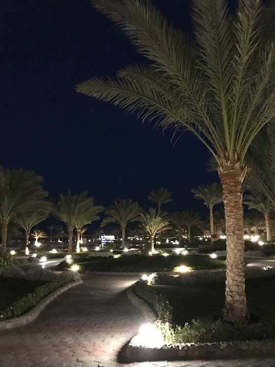 Gartenanlage Three Corners Sea Beach Resort