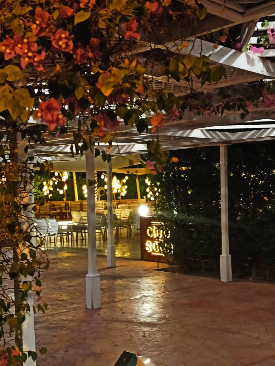 Gartenanlage Desert Rose