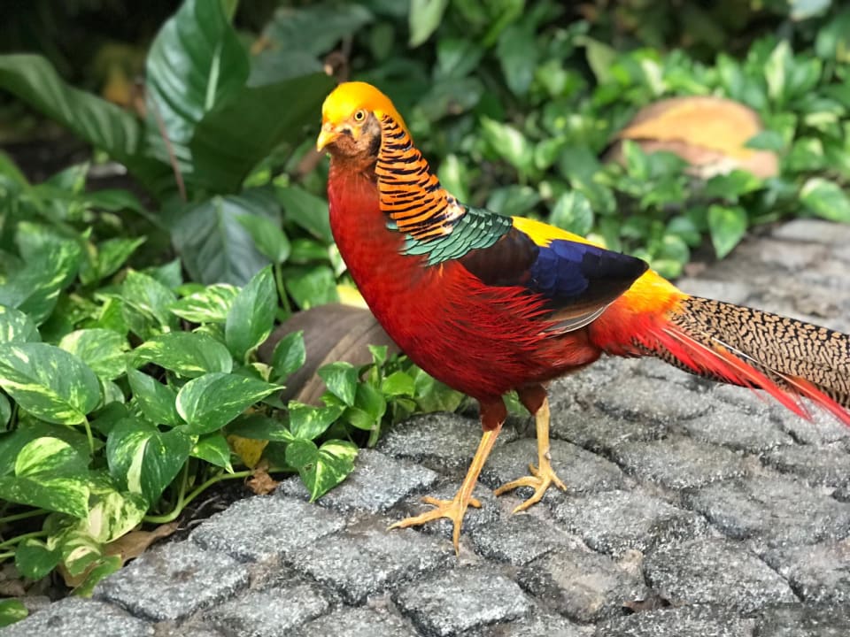 Sonstiges Tropical Islands Resort