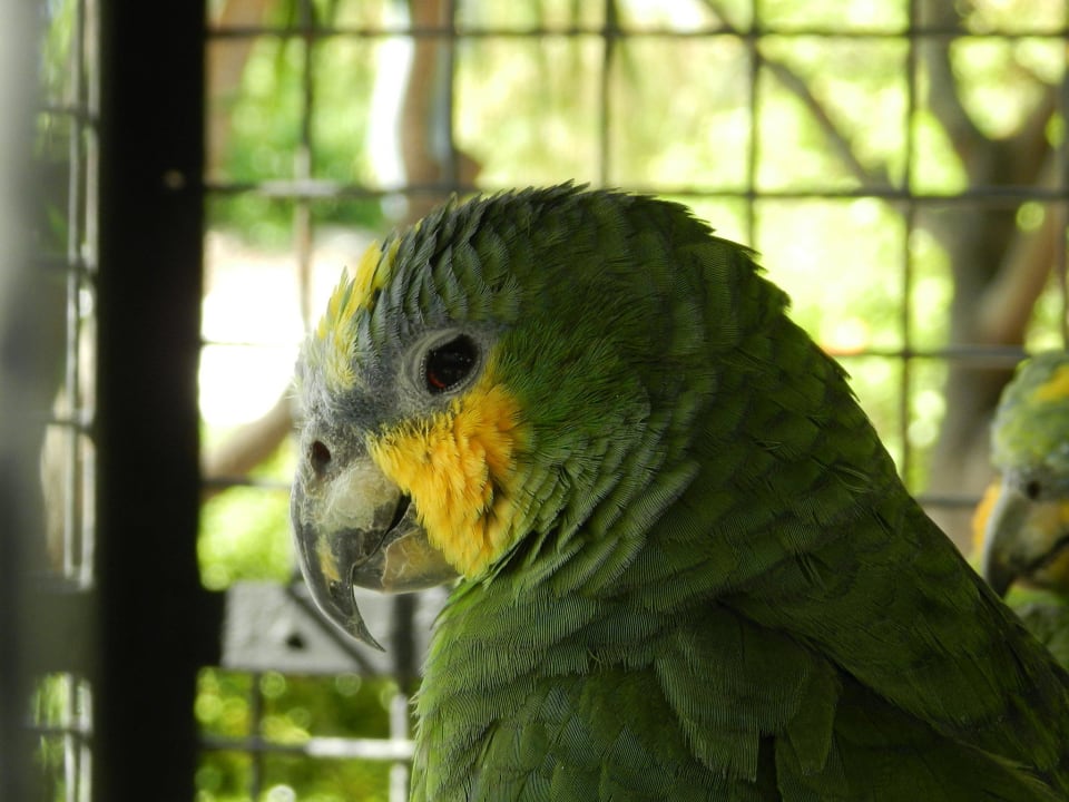 Vogel  Bahía de Alcúdia Hotel & Spa