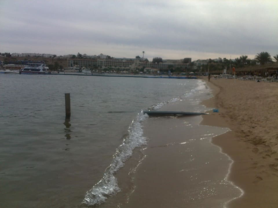 Sandstrand Ghazala Gardens