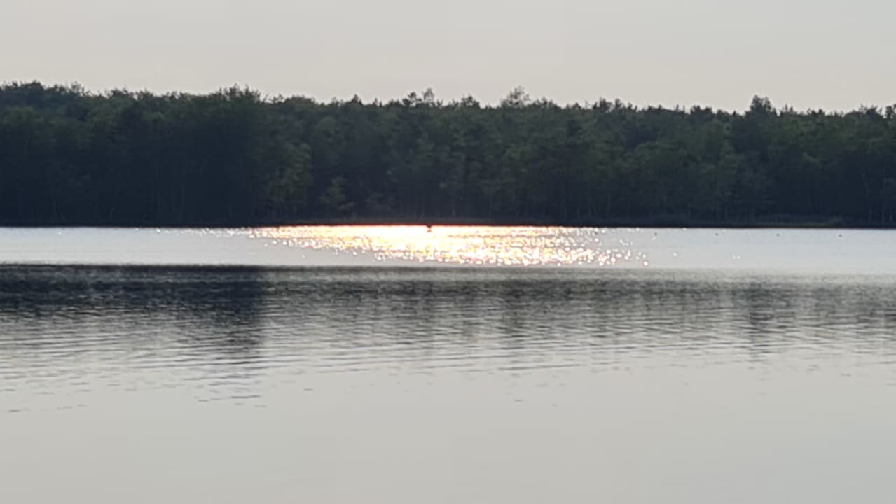 Strand Familienpark Senftenberger See