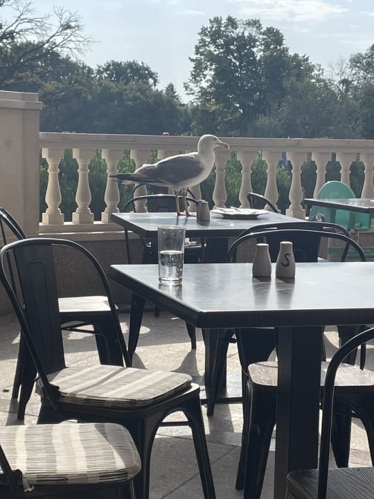 Gastro SH Dolce Vita