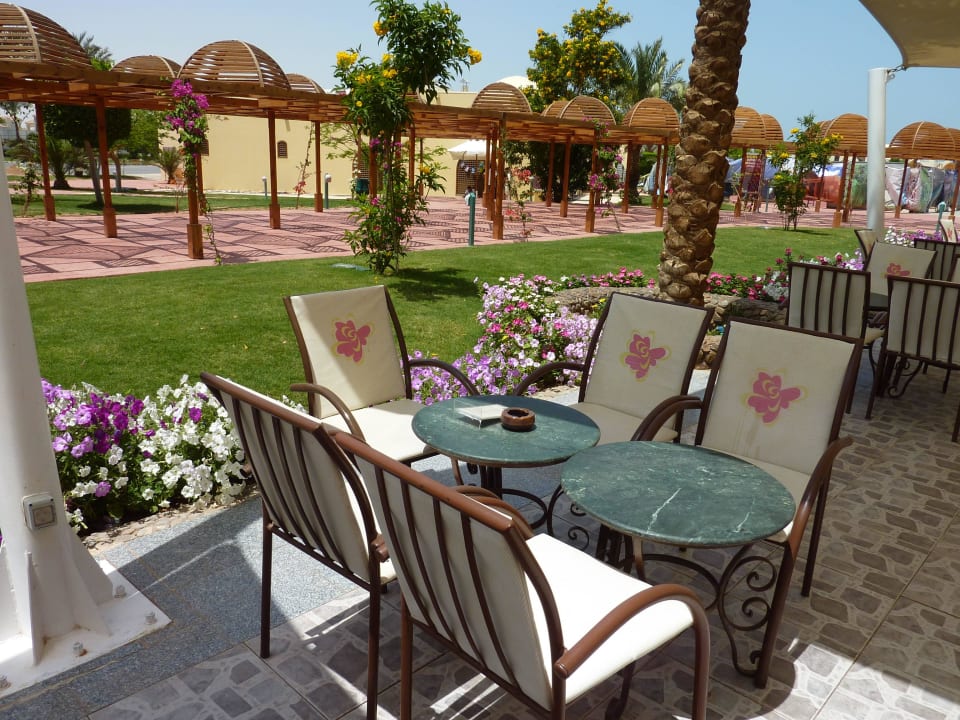 Neue Bestuhlung mit neuen Wegen Desert Rose