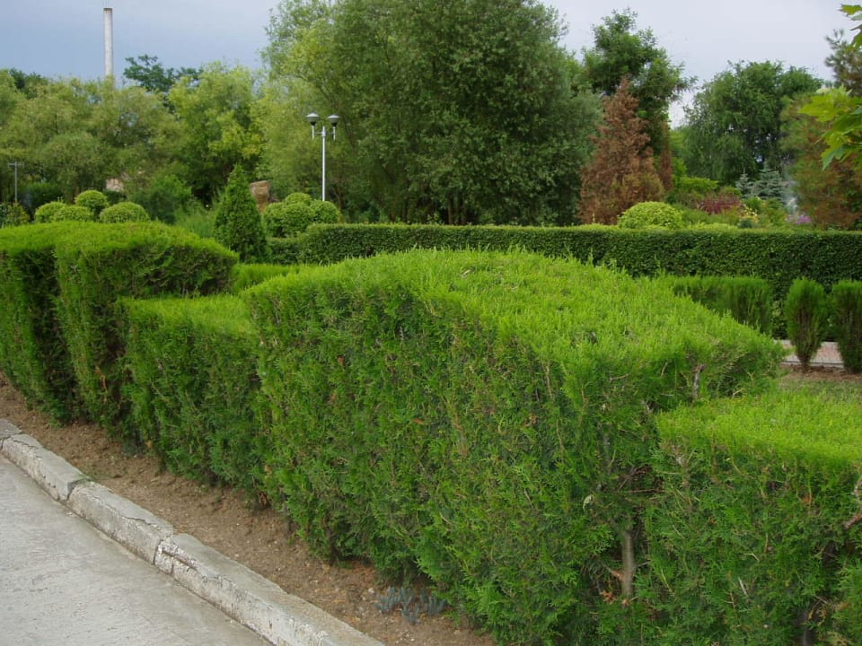 Территория Планеты Hotel Planeta