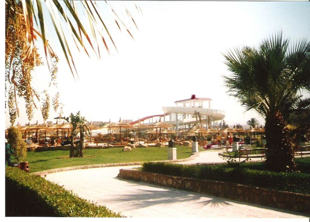 primasol beach albatros Beach Albatros Resort