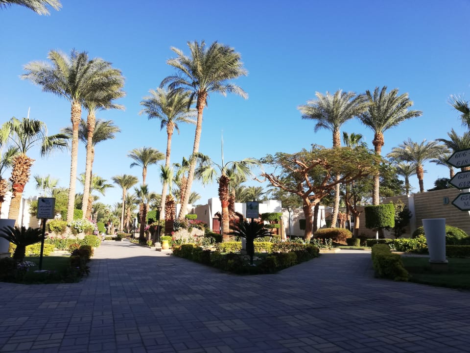 Gartenanlage Regina Resort and Aqua Park Hurghada