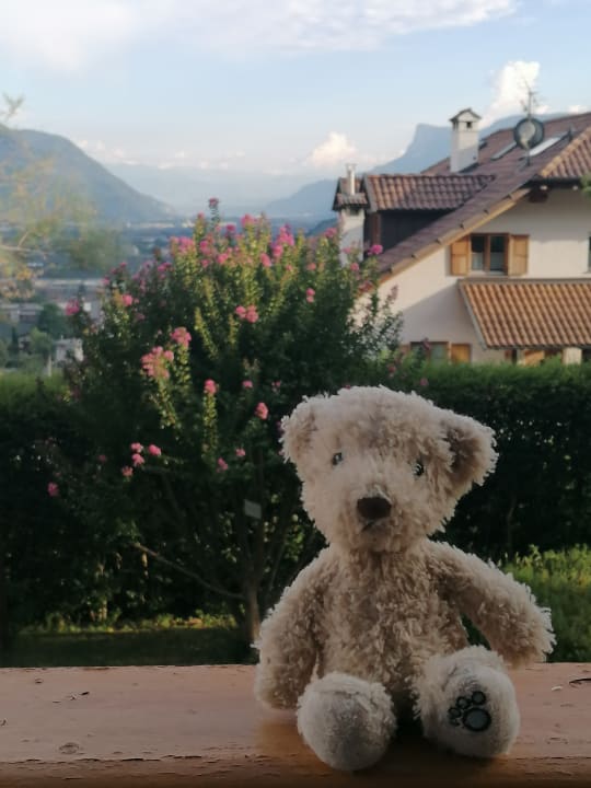 Ausblick Thalguter Apartments, Rooms & Breakfast