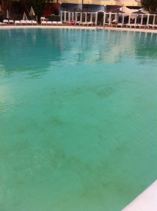 Der Pool SBH Fuerteventura Playa