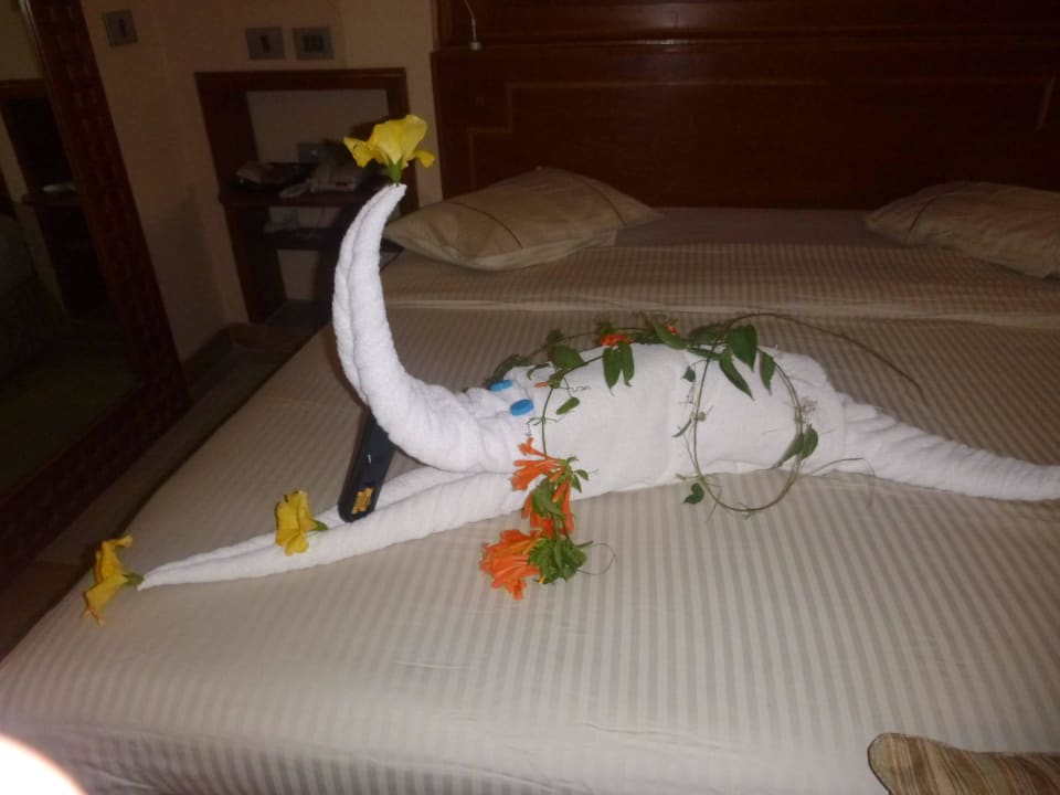 Freundlich vom Zimmerboy Grand Waterworld Makadi & Family Star Makadi