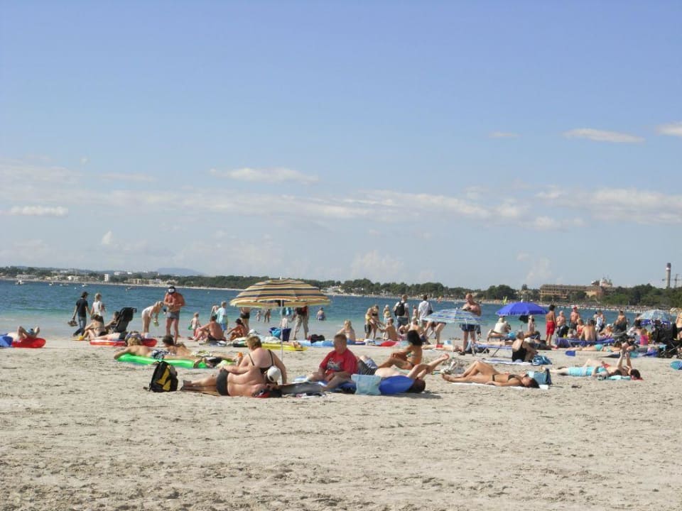 Strand Alcudia Garden Aparthotel