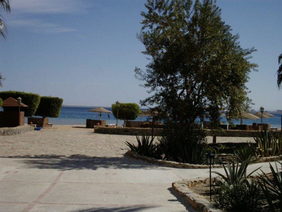 Hotelanlage Eagles Paradise Abu Soma