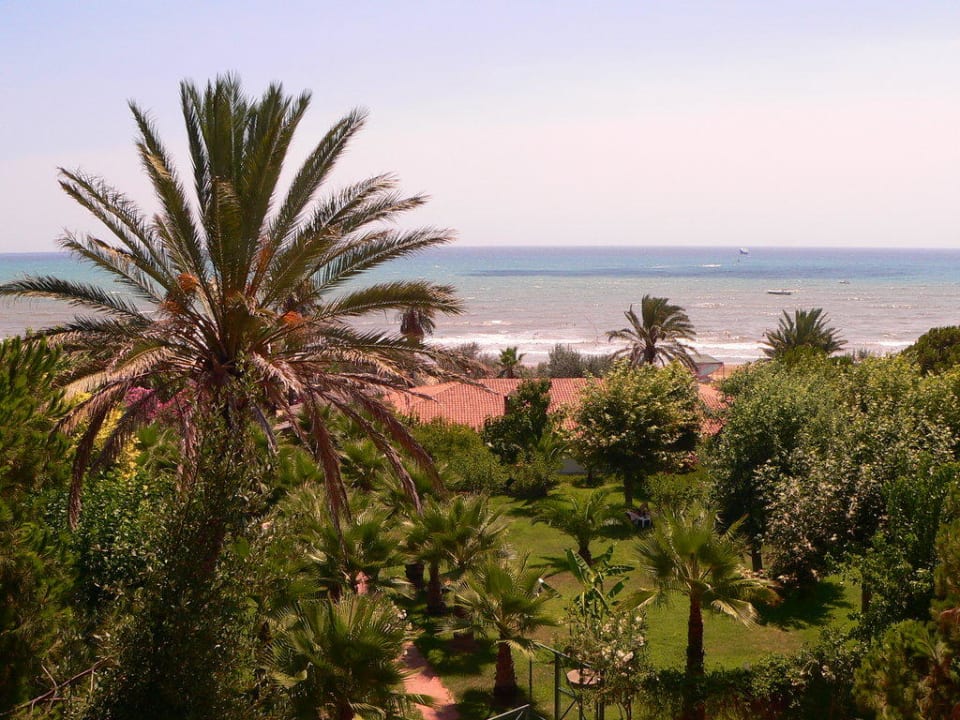 Gartenanlage Hotel Defne Garden