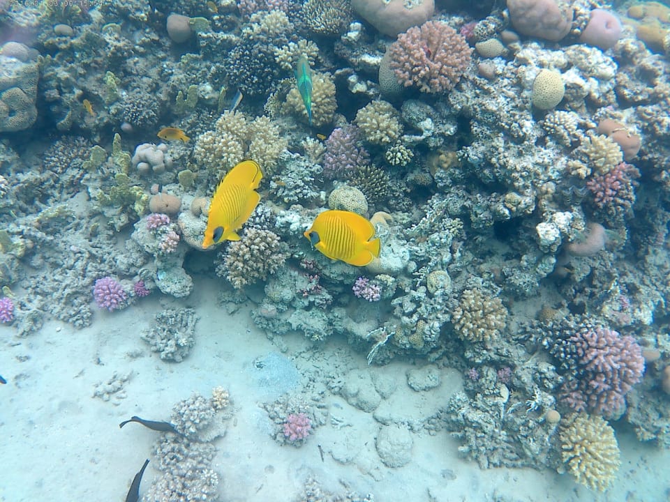 Sport & Freizeit Jaz Makadi Saraya Resort