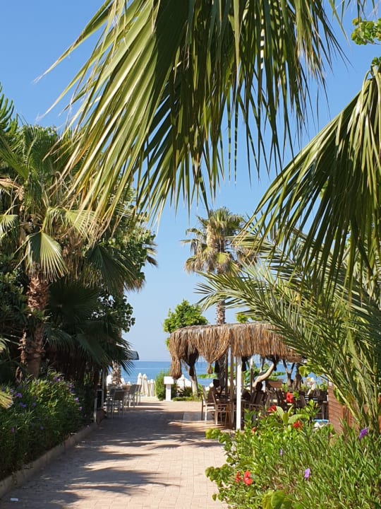 Gartenanlage Seaden Corolla Hotel