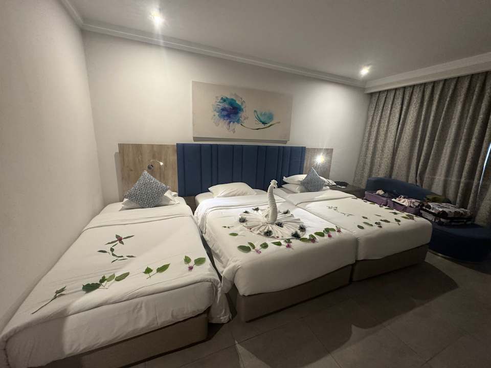 Zimmer Pickalbatros Blu Spa Resort