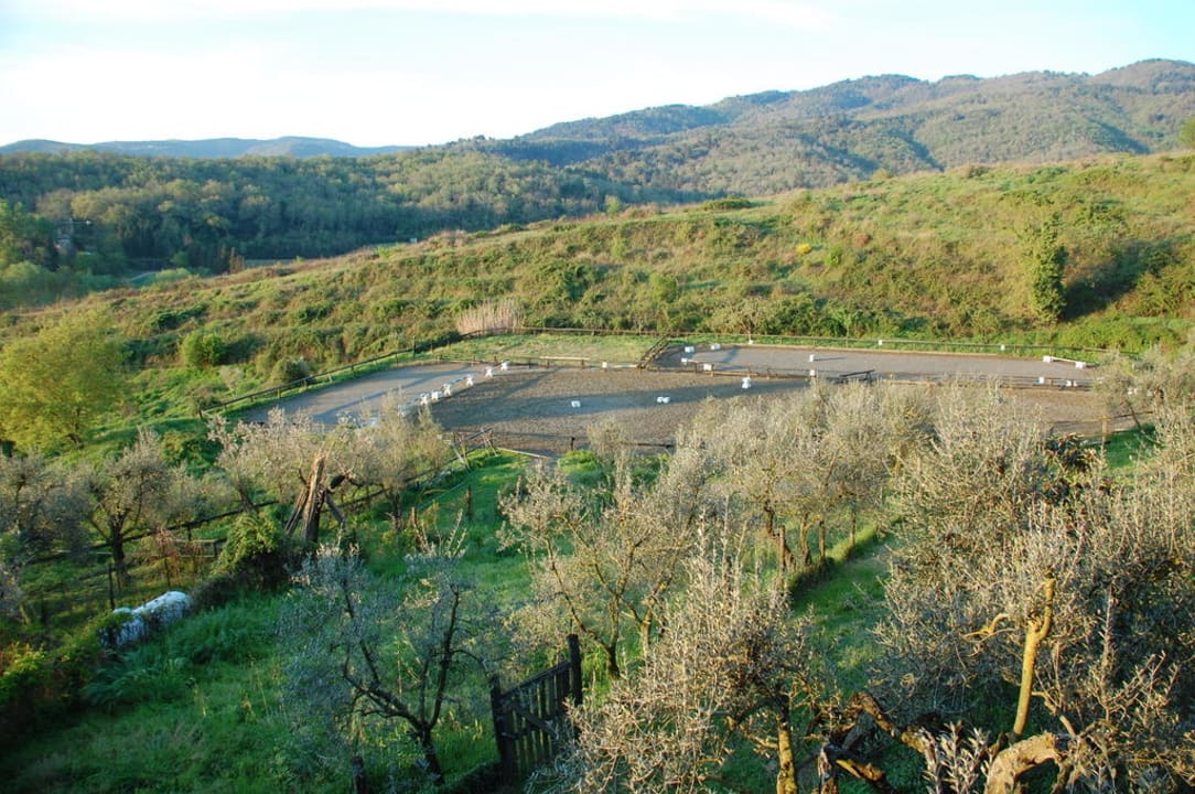 Reitplatz Rendola Riding Country Guest House