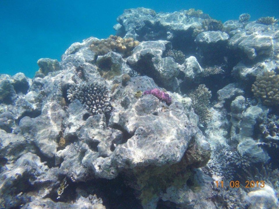 Rafy koralowe Titanic Beach Spa & Aqua Park