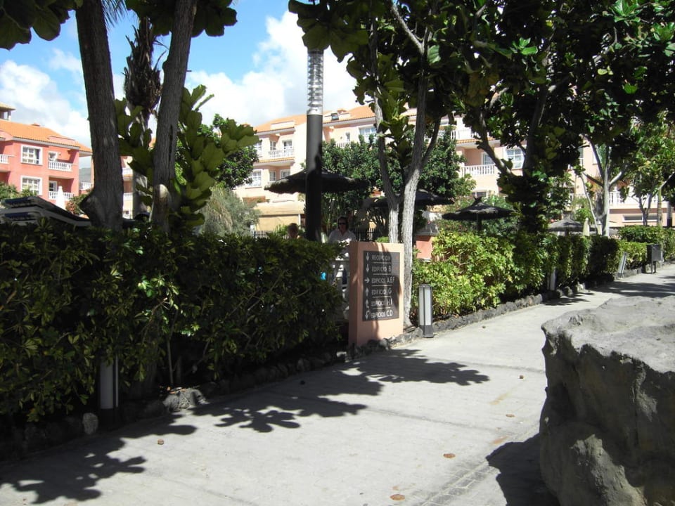 Anlage um den Pool Hotel El Duque