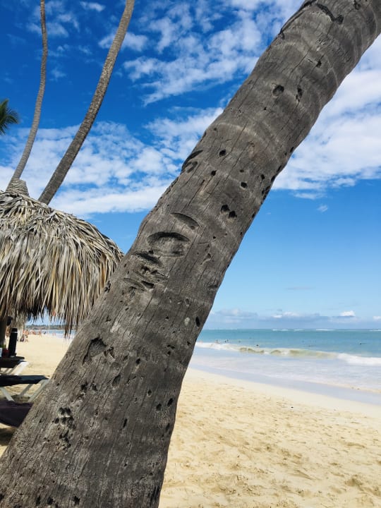Strand Grand Palladium Select Bávaro Resort & Spa