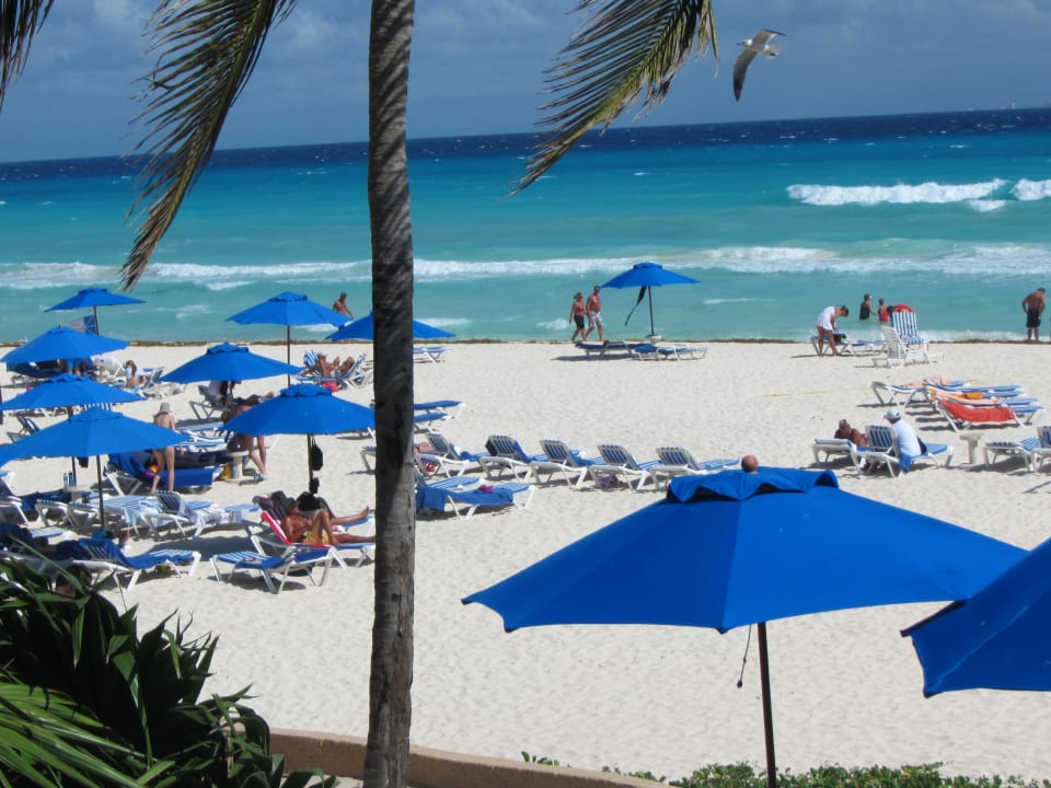 Blick von der Bar auf den Strand  The Reef Playacar
