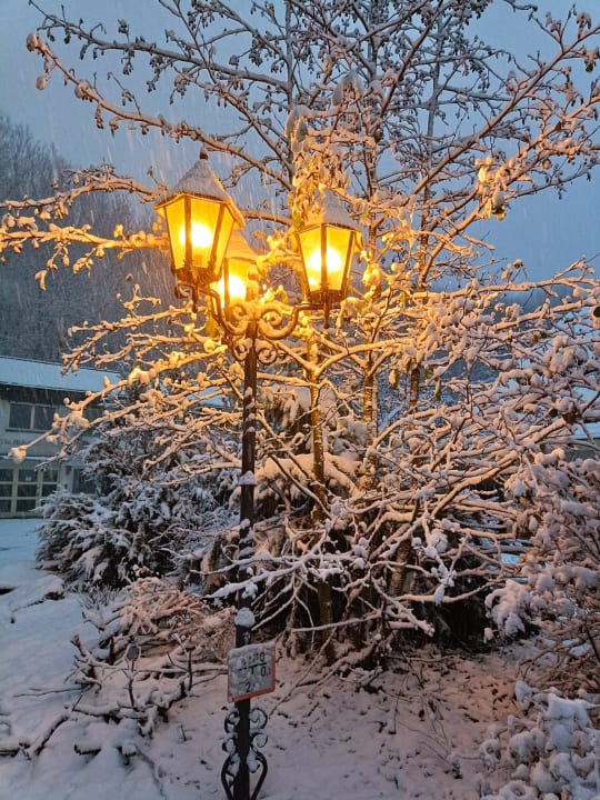 Gartenanlage Best Western Hotel Rhön Garden