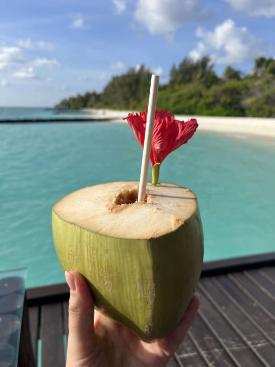 Gastro Summer Island Maldives