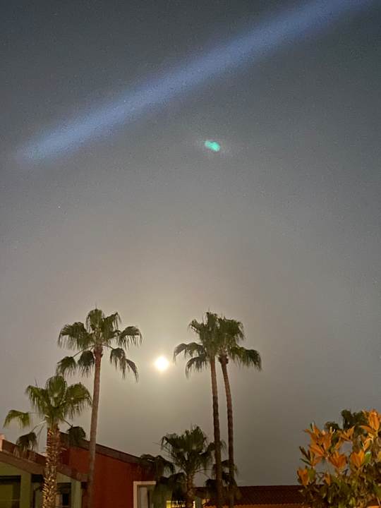 Gartenanlage Megasaray Club Belek