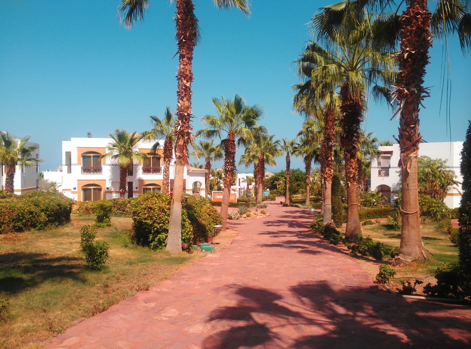 Gartenanlage Amphoras Blu