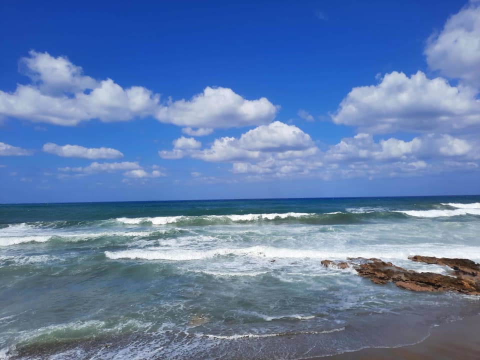 Strand TUI BLUE Insula Alba