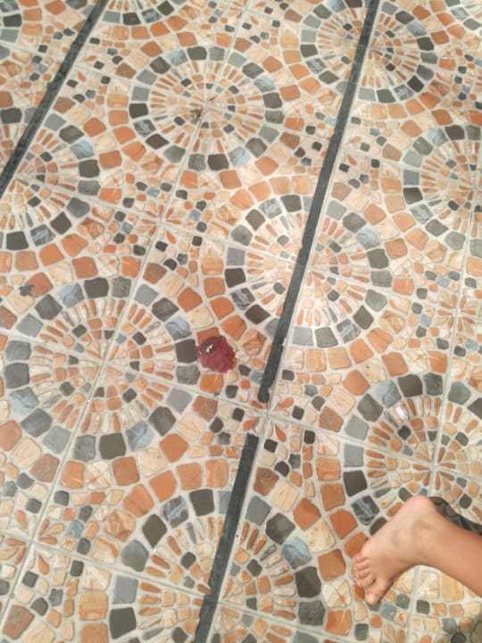 Sonstiges Imperial Palace Hotel