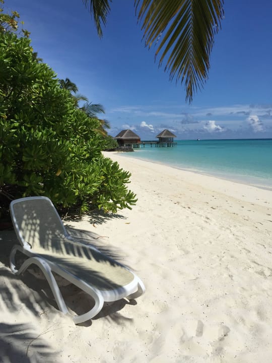 Es gibt immer eine freie Liege Kuramathi Maldives