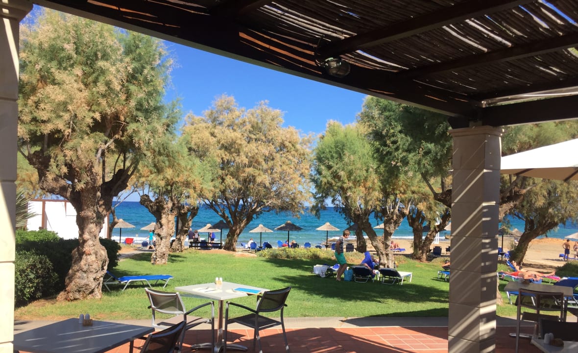 Gastro Phãea Cretan Malia