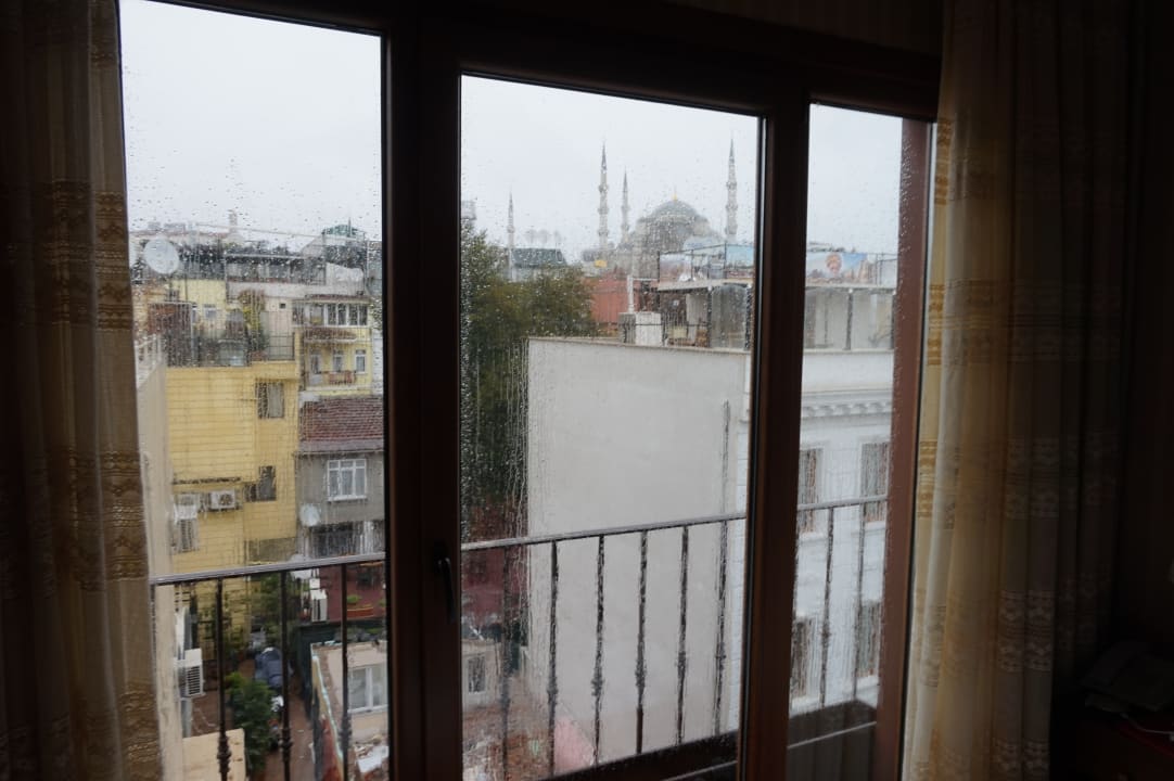 Zimmer Bucoleon by Cheers