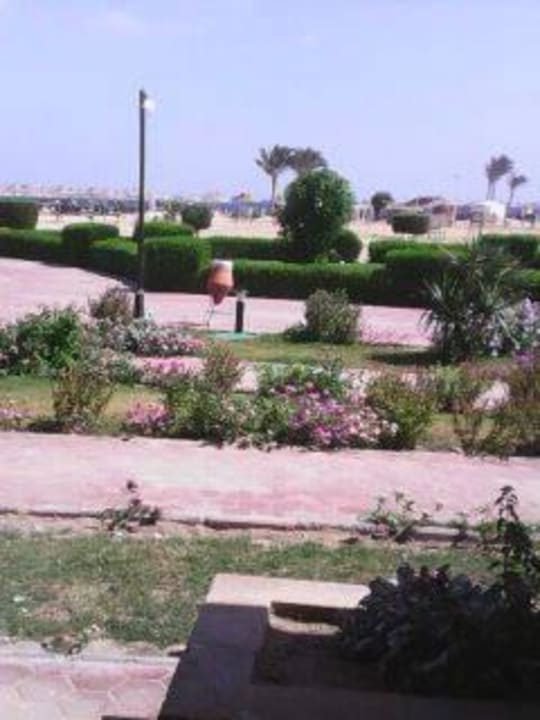  Vom Zimmer Malikia Resort Abu Dabbab