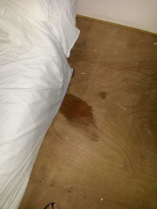 Fußboden oben bei Regen Wyndham Alltra Samana