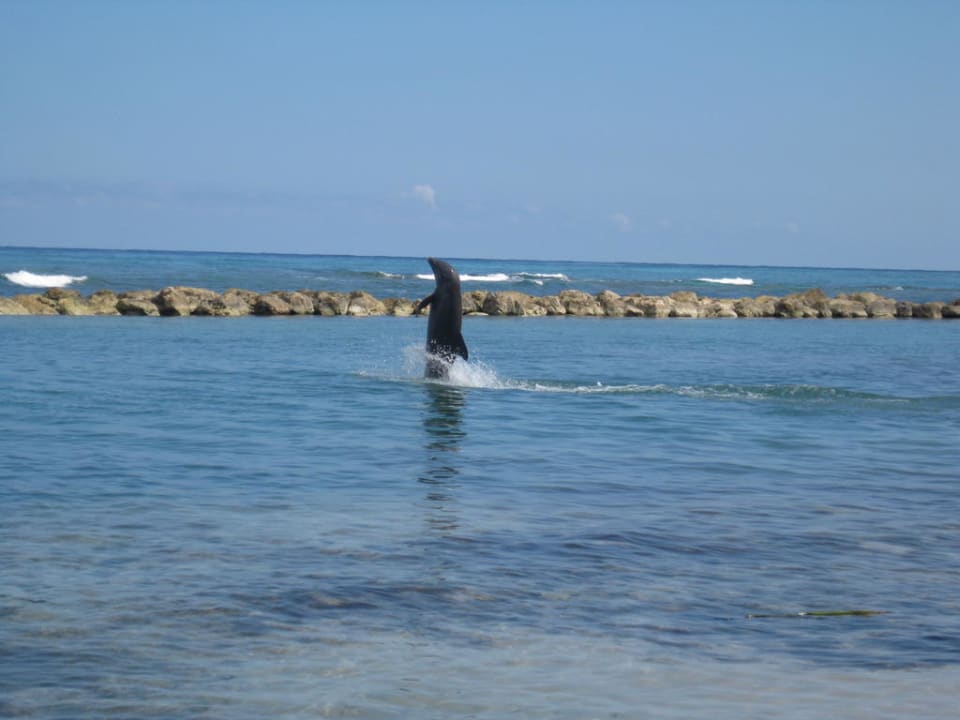 Delphin Lagoon Half Moon