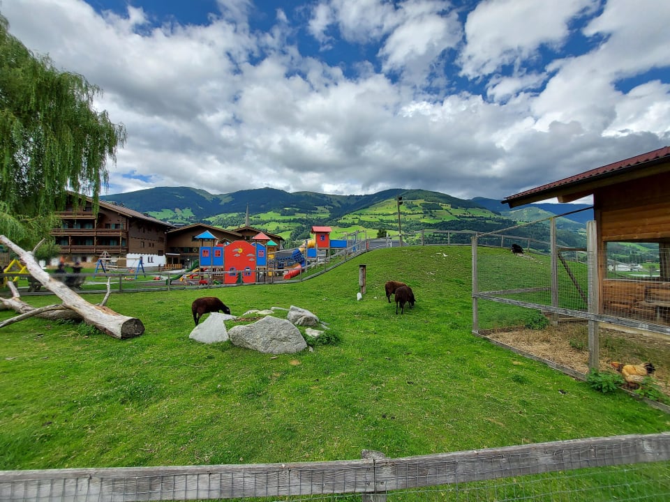 Sport & Freizeit Kinderhotel Felben