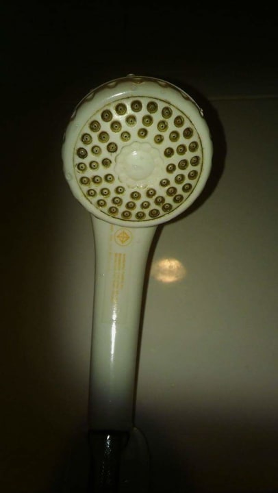 Zimmer The Green Park Resort