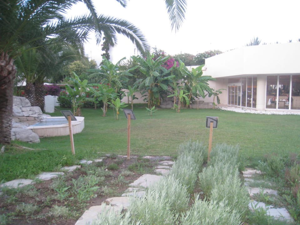 Der Clubeigene Kräutergarten Monachus Family Resort Sorgun