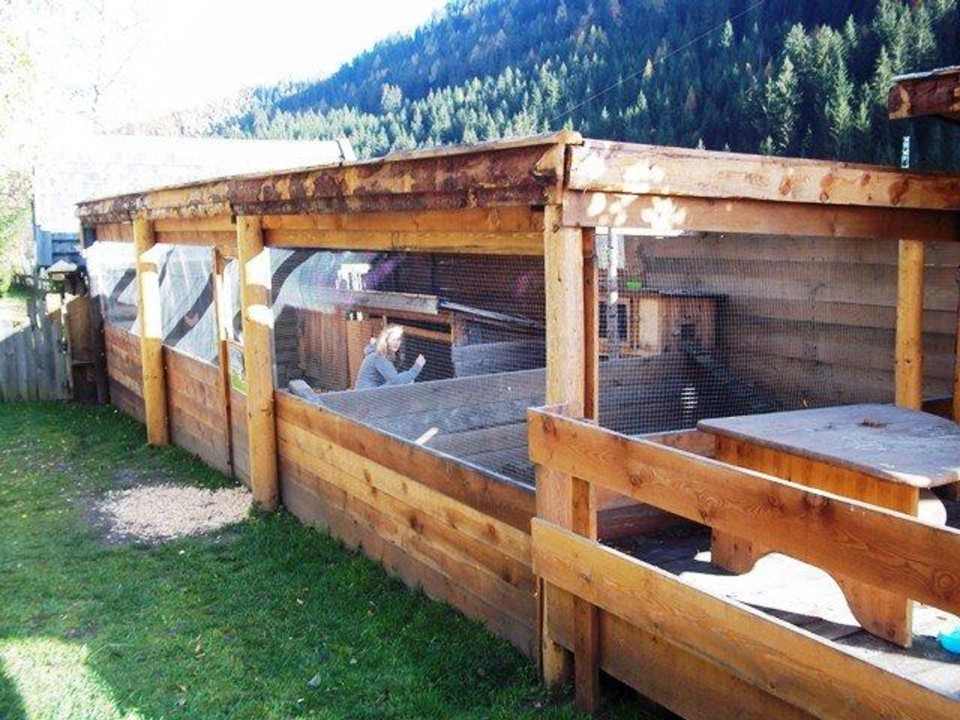 Streichelzoo Alphotel Tyrol