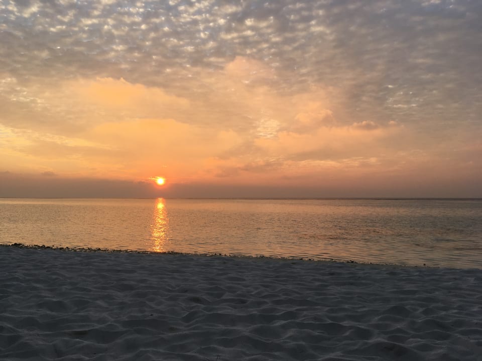 Strand Summer Island Maldives