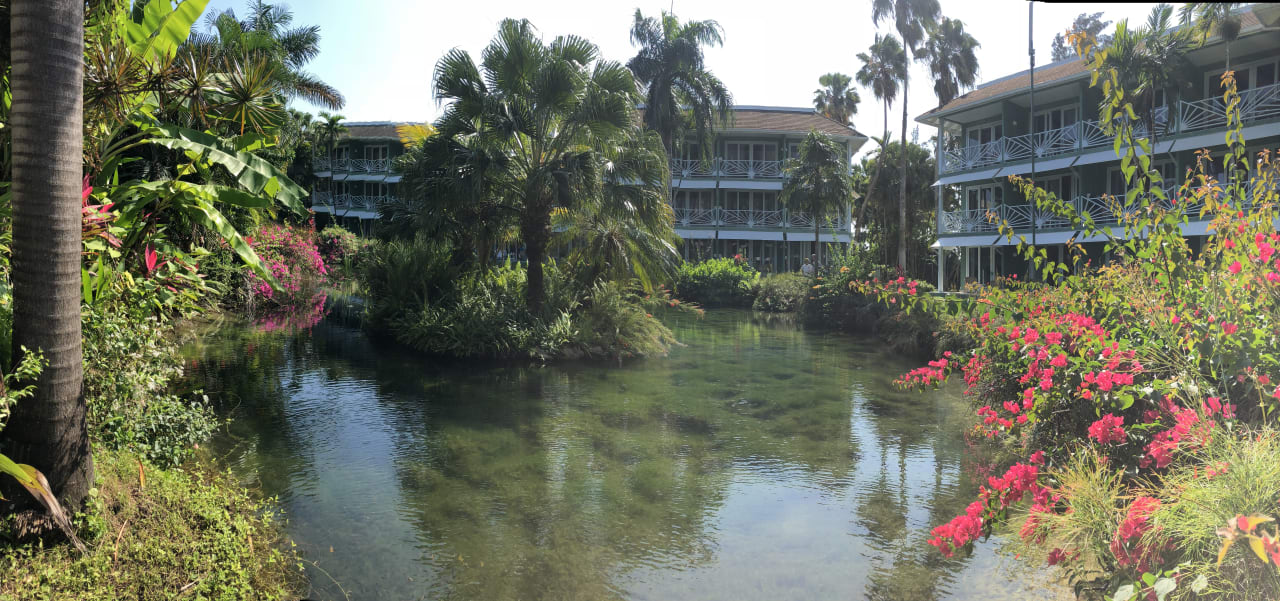 Gartenanlage Couples Negril - Adults only